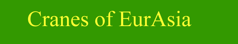 cranes of eur asia