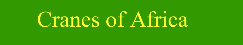 cranes of africa