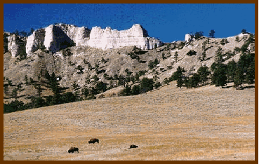 ftrbwb2.gif (43063 bytes)