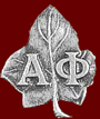 image of new member pin