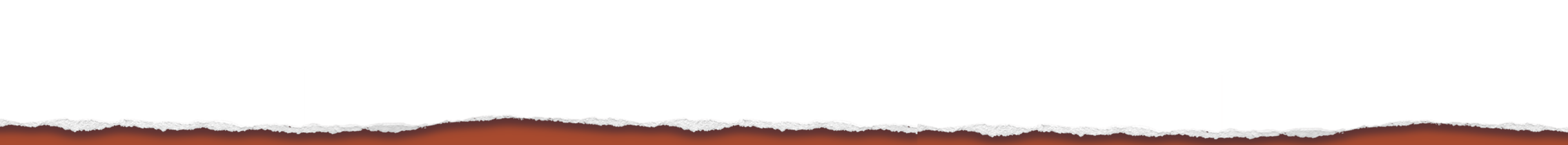 torn strp of white paper used artistically to resemble the page's header