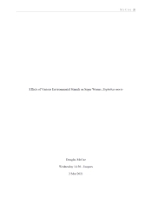 a thumbnail linked to a copy of this document in PDF