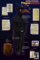 Expectations of Plague Doctors